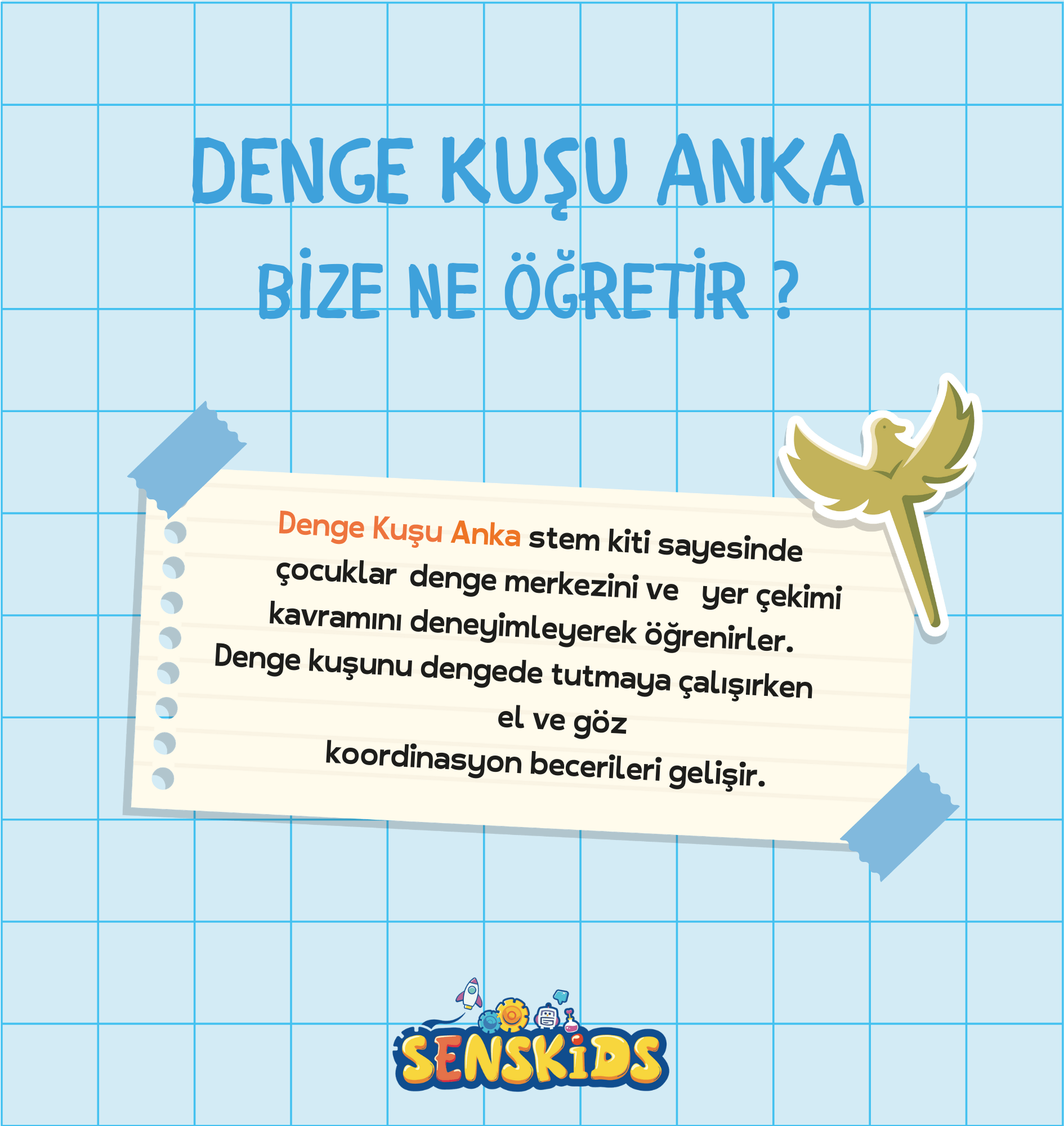 Denge Kuşu - Görsel 3